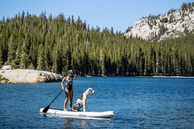 Pets at the Ranch