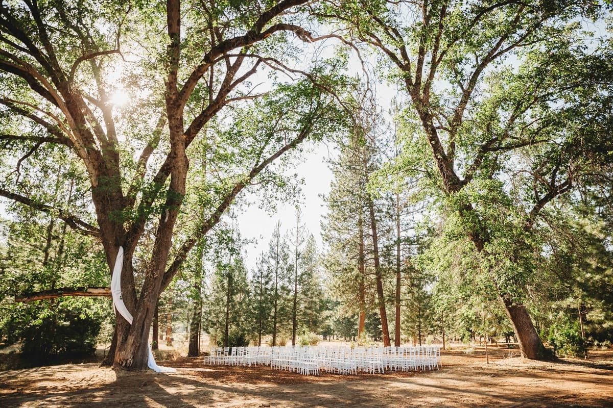 Link to Activity: Weddings