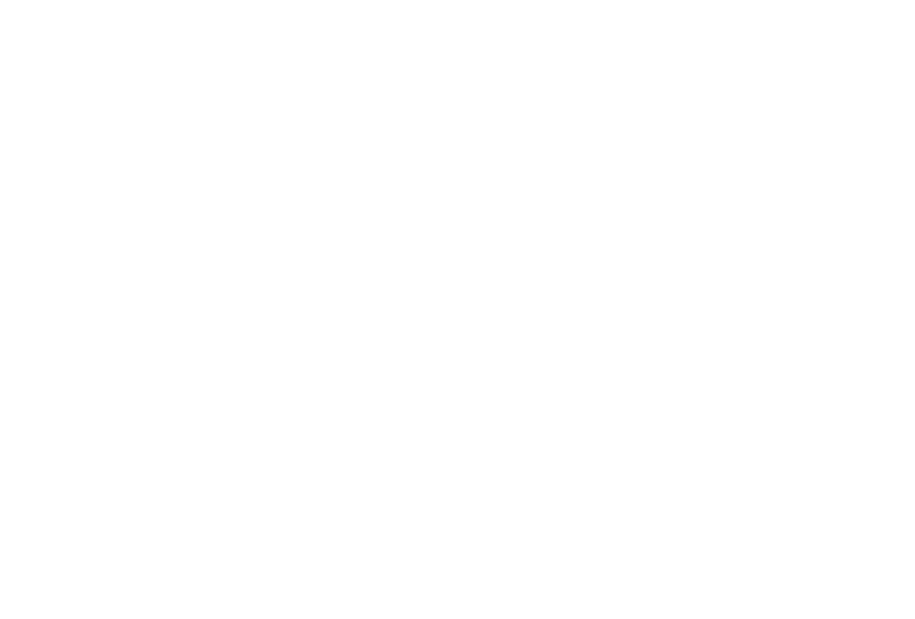 Evergreen Lodge